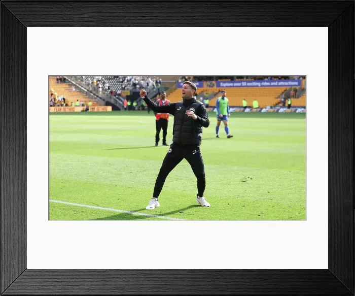 Framed Print : Wolverhampton Wanderers v Brighton and Hove Albion Premier League 10MAY25 Framed Print : Wolverhampton Wanderers v Brighton and Hove Albion Premier League 10MAY25