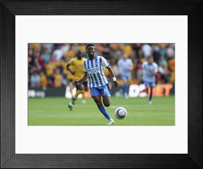 Framed Print : Wolverhampton Wanderers v Brighton and Hove Albion Premier League 10MAY25 Framed Print : Wolverhampton Wanderers v Brighton and Hove Albion Premier League 10MAY25