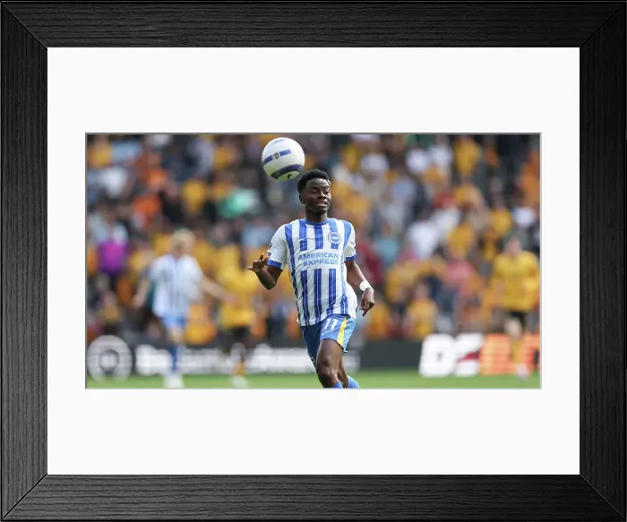 Framed Print : Wolverhampton Wanderers v Brighton and Hove Albion Premier League 10MAY25 Framed Print : Wolverhampton Wanderers v Brighton and Hove Albion Premier League 10MAY25