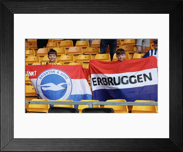 Framed Print : Wolverhampton Wanderers v Brighton and Hove Albion Premier League 10MAY25 Framed Print : Wolverhampton Wanderers v Brighton and Hove Albion Premier League 10MAY25