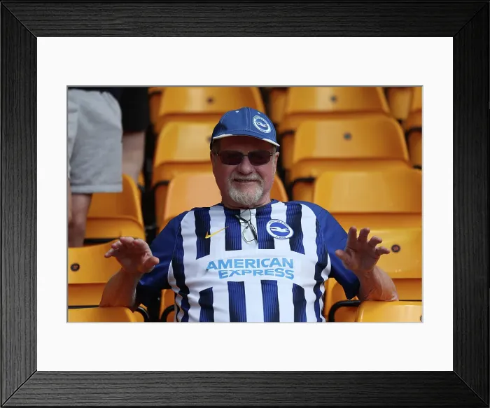 Framed Print : Wolverhampton Wanderers v Brighton and Hove Albion Premier League 10MAY25 Framed Print : Wolverhampton Wanderers v Brighton and Hove Albion Premier League 10MAY25
