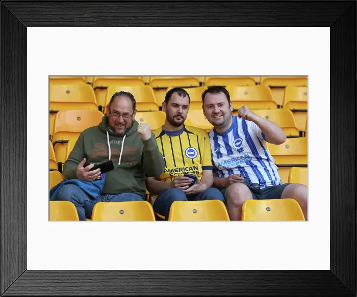 Framed Print : Wolverhampton Wanderers v Brighton and Hove Albion Premier League 10MAY25 Framed Print : Wolverhampton Wanderers v Brighton and Hove Albion Premier League 10MAY25