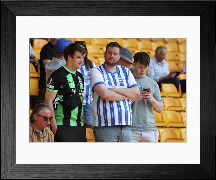 Framed Print : Wolverhampton Wanderers v Brighton and Hove Albion Premier League 10MAY25 Framed Print : Wolverhampton Wanderers v Brighton and Hove Albion Premier League 10MAY25