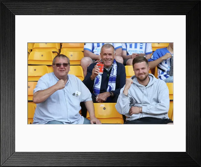 Framed Print : Wolverhampton Wanderers v Brighton and Hove Albion Premier League 10MAY25 Framed Print : Wolverhampton Wanderers v Brighton and Hove Albion Premier League 10MAY25