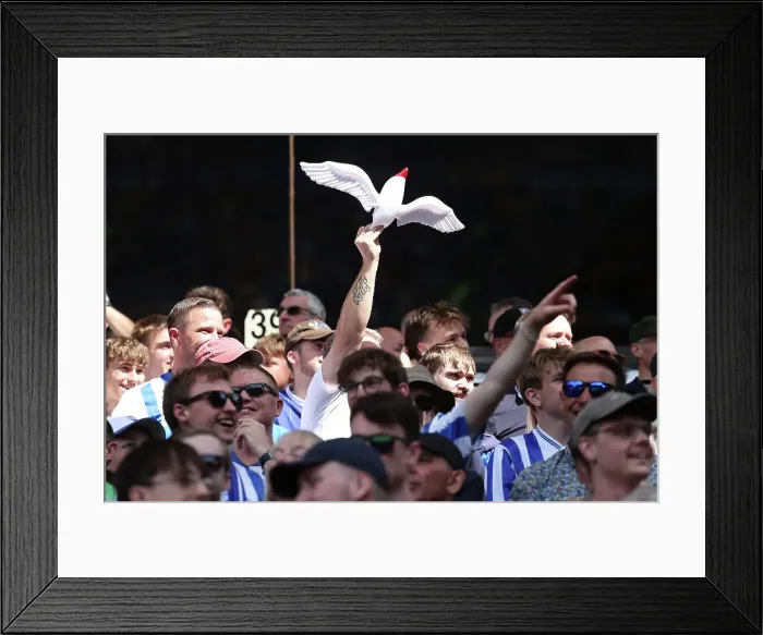 Framed Print : Wolverhampton Wanderers v Brighton and Hove Albion Premier League 10MAY25 Framed Print : Wolverhampton Wanderers v Brighton and Hove Albion Premier League 10MAY25