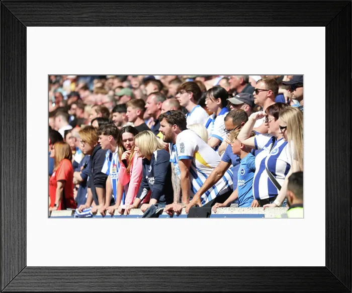 Framed Print : Wolverhampton Wanderers v Brighton and Hove Albion Premier League 10MAY25 Framed Print : Wolverhampton Wanderers v Brighton and Hove Albion Premier League 10MAY25