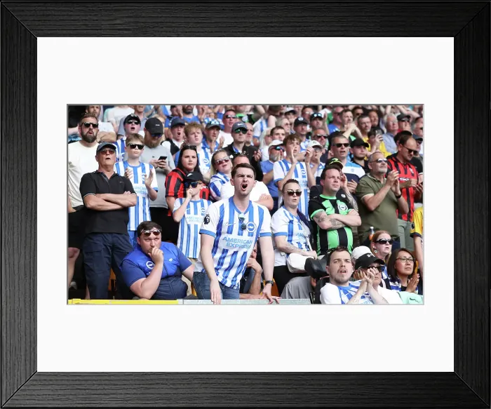 Framed Print : Wolverhampton Wanderers v Brighton and Hove Albion Premier League 10MAY25 Framed Print : Wolverhampton Wanderers v Brighton and Hove Albion Premier League 10MAY25