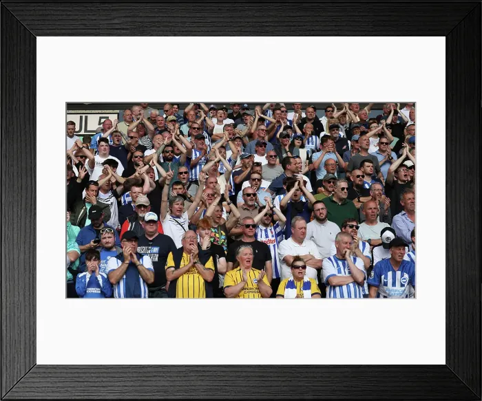 Framed Print : Wolverhampton Wanderers v Brighton and Hove Albion Premier League 10MAY25 Framed Print : Wolverhampton Wanderers v Brighton and Hove Albion Premier League 10MAY25