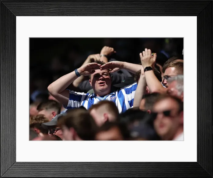 Framed Print : Wolverhampton Wanderers v Brighton and Hove Albion Premier League 10MAY25 Framed Print : Wolverhampton Wanderers v Brighton and Hove Albion Premier League 10MAY25