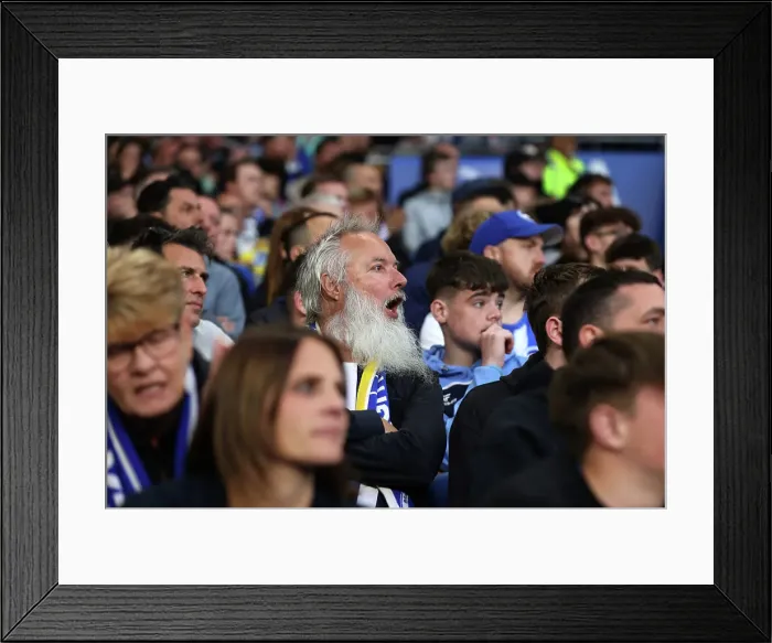 Framed Print : Brighton and Hove Albion v LIverpool Premier League 19MAY25 Framed Print : Brighton and Hove Albion v LIverpool Premier League 19MAY25