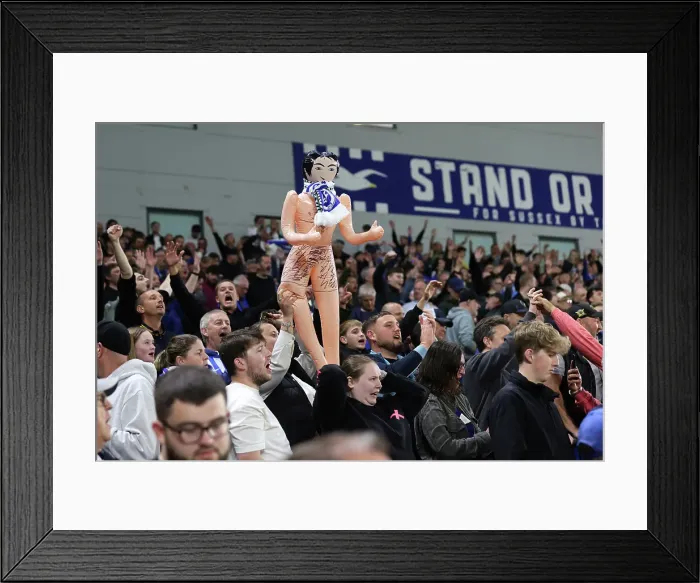 Framed Print : Brighton and Hove Albion v LIverpool Premier League 19MAY25 Framed Print : Brighton and Hove Albion v LIverpool Premier League 19MAY25