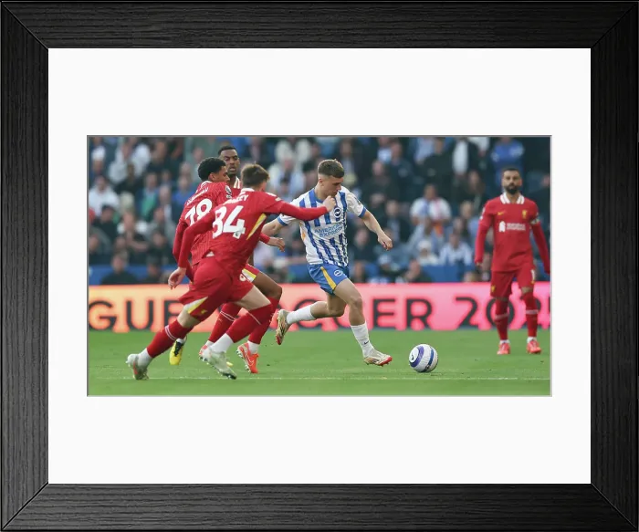 Framed Print : Brighton and Hove Albion v LIverpool Premier League 19MAY25 Framed Print : Brighton and Hove Albion v LIverpool Premier League 19MAY25