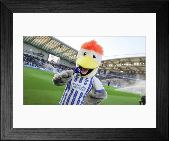 Framed Print : Brighton and Hove Albion v LIverpool Premier League 19MAY25 Framed Print : Brighton and Hove Albion v LIverpool Premier League 19MAY25