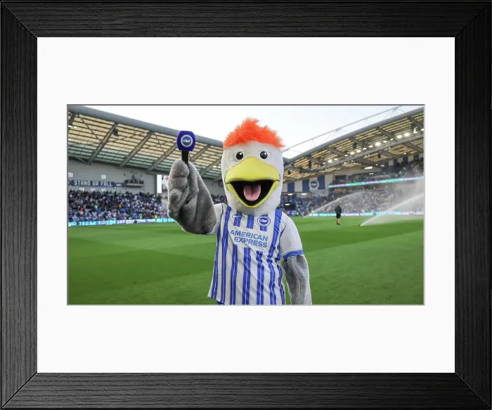 Framed Print : Brighton and Hove Albion v LIverpool Premier League 19MAY25 Framed Print : Brighton and Hove Albion v LIverpool Premier League 19MAY25