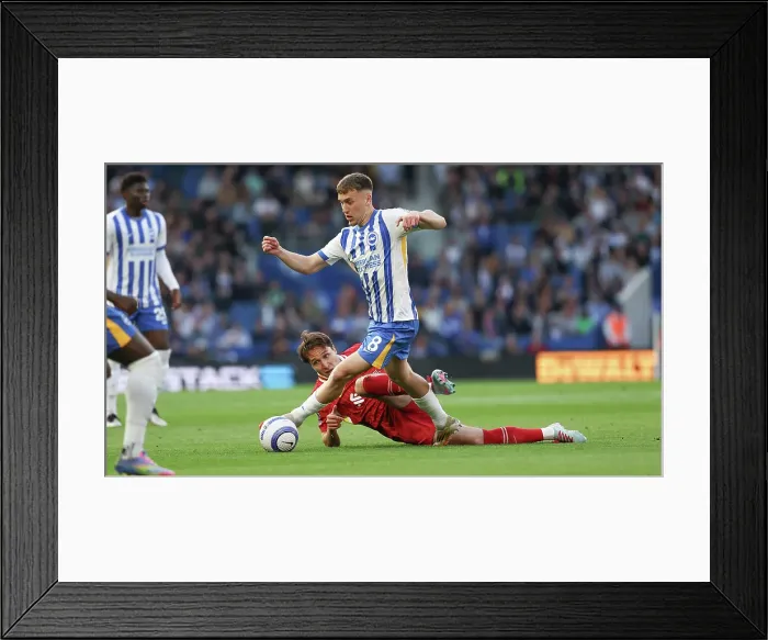 Framed Print : Brighton and Hove Albion v LIverpool Premier League 19MAY25