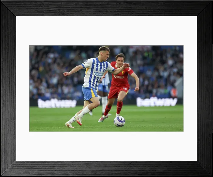 Framed Print : Brighton and Hove Albion v LIverpool Premier League 19MAY25 Framed Print : Brighton and Hove Albion v LIverpool Premier League 19MAY25