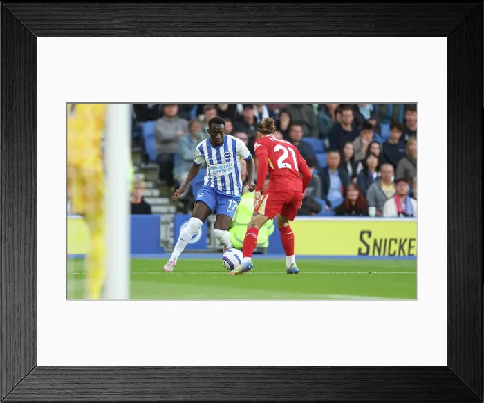 Framed Print : Brighton and Hove Albion v LIverpool Premier League 19MAY25 Framed Print : Brighton and Hove Albion v LIverpool Premier League 19MAY25