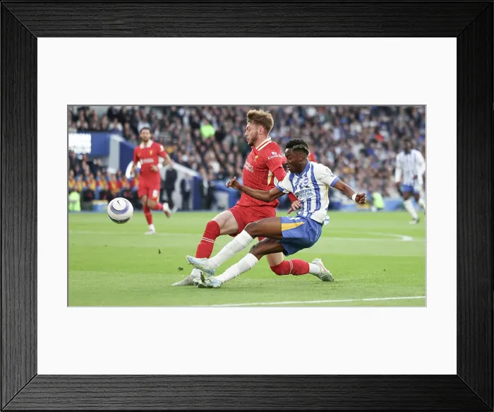 Framed Print : Brighton and Hove Albion v LIverpool Premier League 19MAY25