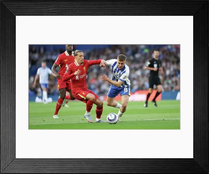 Framed Print : Brighton and Hove Albion v LIverpool Premier League 19MAY25 Framed Print : Brighton and Hove Albion v LIverpool Premier League 19MAY25