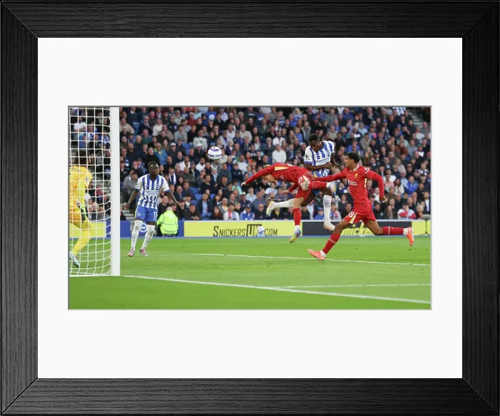 Framed Print : Brighton and Hove Albion v LIverpool Premier League 19MAY25 Framed Print : Brighton and Hove Albion v LIverpool Premier League 19MAY25
