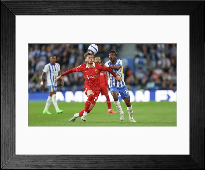 Framed Print : Brighton and Hove Albion v LIverpool Premier League 19MAY25