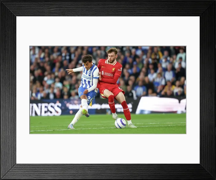 Framed Print : Brighton and Hove Albion v LIverpool Premier League 19MAY25 Framed Print : Brighton and Hove Albion v LIverpool Premier League 19MAY25