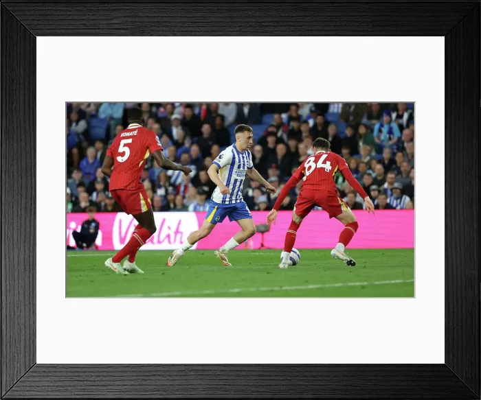 Framed Print : Brighton and Hove Albion v LIverpool Premier League 19MAY25 Framed Print : Brighton and Hove Albion v LIverpool Premier League 19MAY25