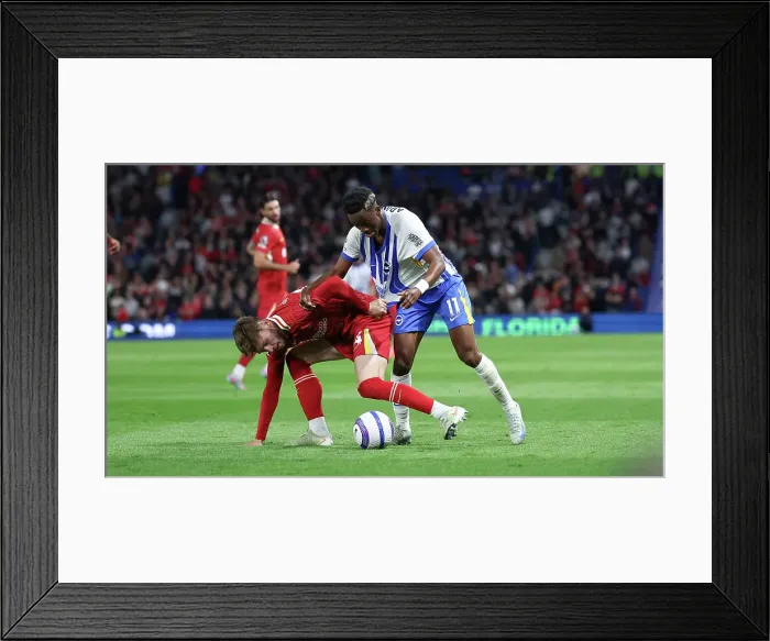 Framed Print : Brighton and Hove Albion v LIverpool Premier League 19MAY25