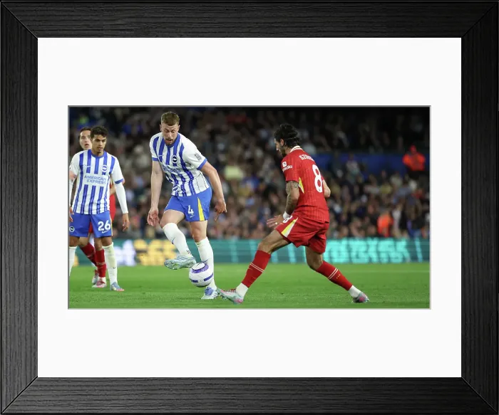 Framed Print : Brighton and Hove Albion v LIverpool Premier League 19MAY25 Framed Print : Brighton and Hove Albion v LIverpool Premier League 19MAY25