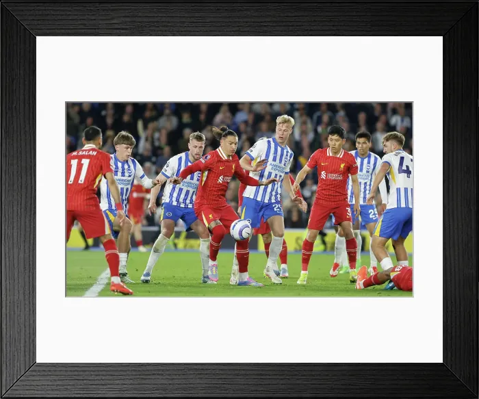 Framed Print : Brighton and Hove Albion v LIverpool Premier League 19MAY25 Framed Print : Brighton and Hove Albion v LIverpool Premier League 19MAY25