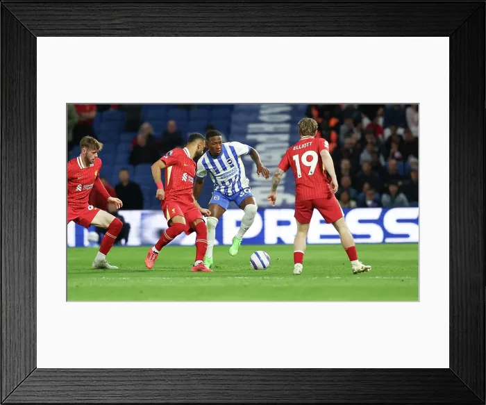 Framed Print : Brighton and Hove Albion v LIverpool Premier League 19MAY25 Framed Print : Brighton and Hove Albion v LIverpool Premier League 19MAY25