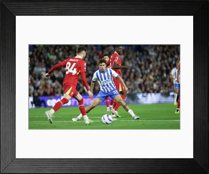 Framed Print : Brighton and Hove Albion v LIverpool Premier League 19MAY25 Framed Print : Brighton and Hove Albion v LIverpool Premier League 19MAY25
