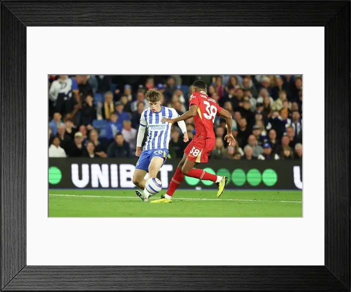 Framed Print : Brighton and Hove Albion v LIverpool Premier League 19MAY25 Framed Print : Brighton and Hove Albion v LIverpool Premier League 19MAY25