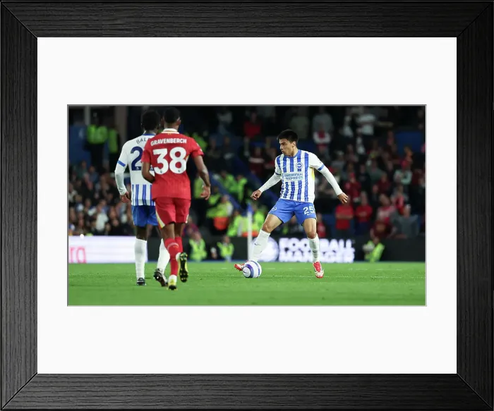 Framed Print : Brighton and Hove Albion v LIverpool Premier League 19MAY25 Framed Print : Brighton and Hove Albion v LIverpool Premier League 19MAY25