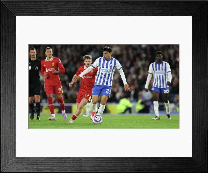 Framed Print : Brighton and Hove Albion v LIverpool Premier League 19MAY25 Framed Print : Brighton and Hove Albion v LIverpool Premier League 19MAY25