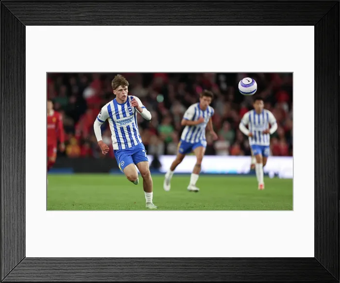 Framed Print : Brighton and Hove Albion v LIverpool Premier League 19MAY25 Framed Print : Brighton and Hove Albion v LIverpool Premier League 19MAY25