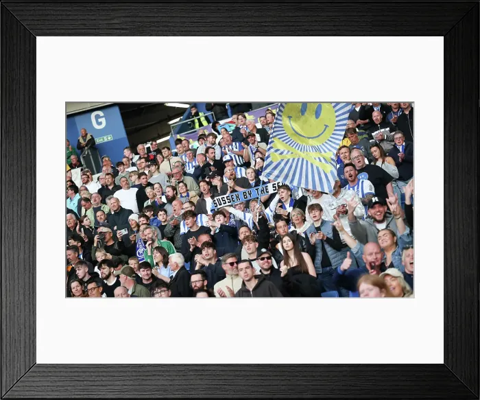 Framed Print : Brighton and Hove Albion v LIverpool Premier League 19MAY25 Framed Print : Brighton and Hove Albion v LIverpool Premier League 19MAY25