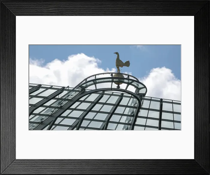 Framed Print : Tottenham Hotspur v Brighton and Hove Albion Premier League 25MAY25 Framed Print : Tottenham Hotspur v Brighton and Hove Albion Premier League 25MAY25