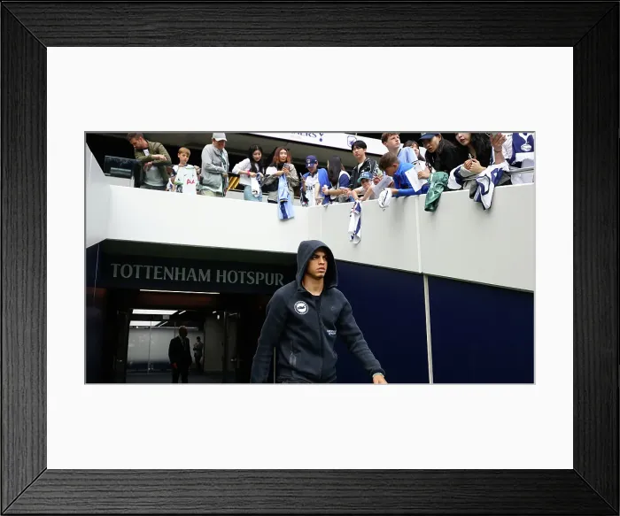 Framed Print : Tottenham Hotspur v Brighton and Hove Albion Premier League 25MAY25 Framed Print : Tottenham Hotspur v Brighton and Hove Albion Premier League 25MAY25