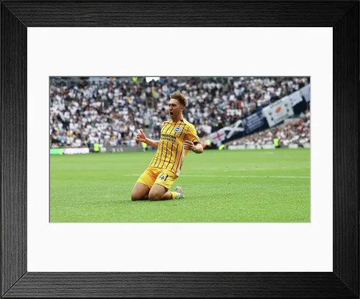 Framed Print : Tottenham Hotspur v Brighton and Hove Albion Premier League 25MAY25 Framed Print : Tottenham Hotspur v Brighton and Hove Albion Premier League 25MAY25