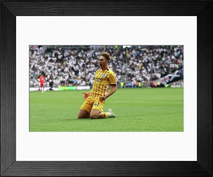 Framed Print : Tottenham Hotspur v Brighton and Hove Albion Premier League 25MAY25 Framed Print : Tottenham Hotspur v Brighton and Hove Albion Premier League 25MAY25