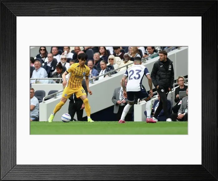Framed Print : Tottenham Hotspur v Brighton and Hove Albion Premier League 25MAY25 Framed Print : Tottenham Hotspur v Brighton and Hove Albion Premier League 25MAY25
