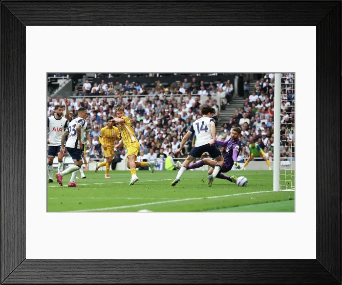 Framed Print : Tottenham Hotspur v Brighton and Hove Albion Premier League 25MAY25 Framed Print : Tottenham Hotspur v Brighton and Hove Albion Premier League 25MAY25