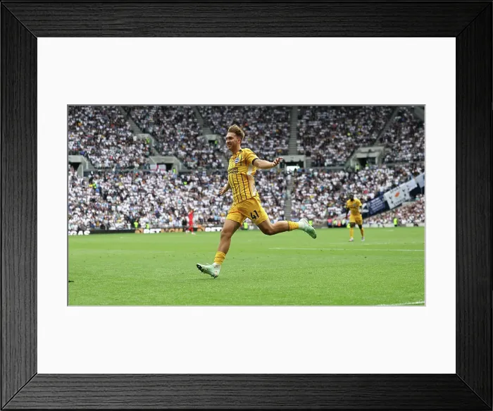 Framed Print : Tottenham Hotspur v Brighton and Hove Albion Premier League 25MAY25 Framed Print : Tottenham Hotspur v Brighton and Hove Albion Premier League 25MAY25