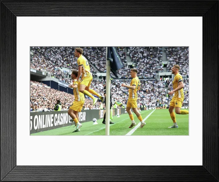 Framed Print : Tottenham Hotspur v Brighton and Hove Albion Premier League 25MAY25 Framed Print : Tottenham Hotspur v Brighton and Hove Albion Premier League 25MAY25