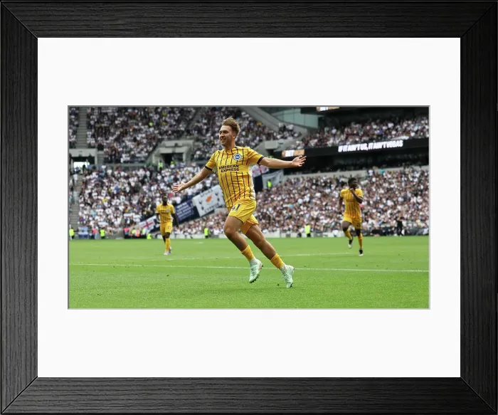 Framed Print : Tottenham Hotspur v Brighton and Hove Albion Premier League 25MAY25 Framed Print : Tottenham Hotspur v Brighton and Hove Albion Premier League 25MAY25