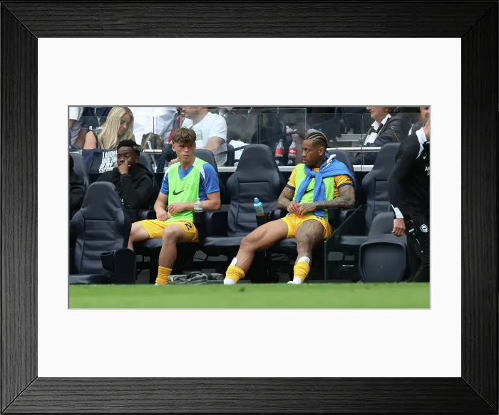 Framed Print : Tottenham Hotspur v Brighton and Hove Albion Premier League 25MAY25 Framed Print : Tottenham Hotspur v Brighton and Hove Albion Premier League 25MAY25