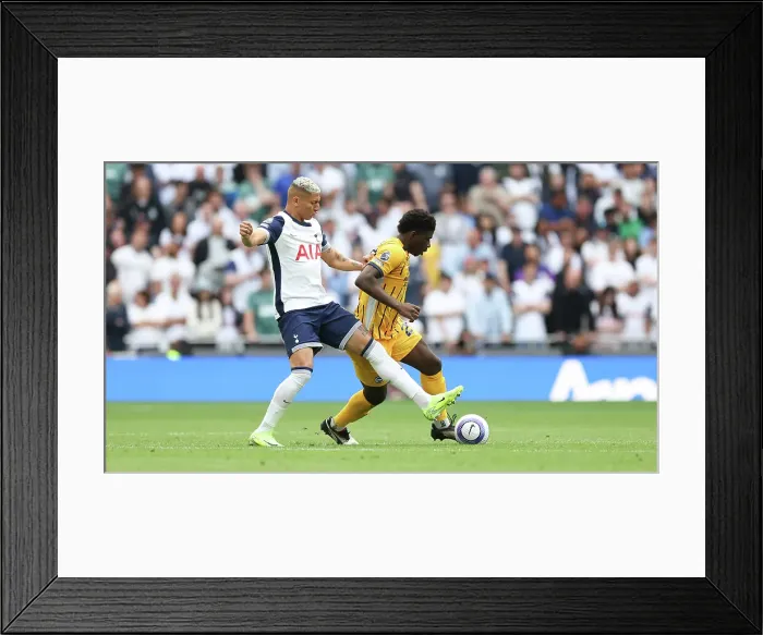 Framed Print : Tottenham Hotspur v Brighton and Hove Albion Premier League 25MAY25 Framed Print : Tottenham Hotspur v Brighton and Hove Albion Premier League 25MAY25