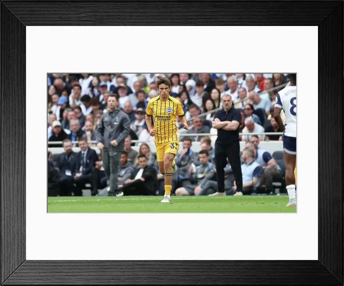 Framed Print : Tottenham Hotspur v Brighton and Hove Albion Premier League 25MAY25 Framed Print : Tottenham Hotspur v Brighton and Hove Albion Premier League 25MAY25