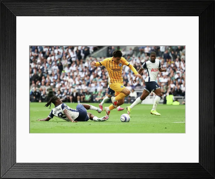 Framed Print : Tottenham Hotspur v Brighton and Hove Albion Premier League 25MAY25